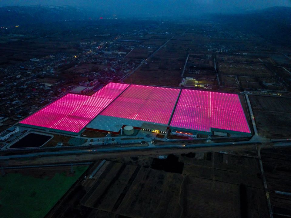LED系统什么是LED系统？的最新报道(图3)