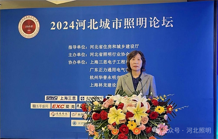 希达电子助力2024河北城市照明论坛共促城市照明智能发展(图1)