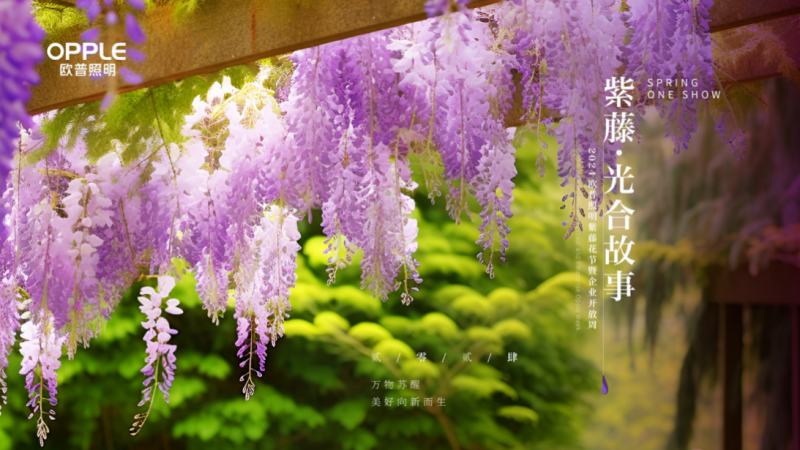 2024欧普照明紫藤花节暨企业开放周开幕：技术驱动生生不息(图1)