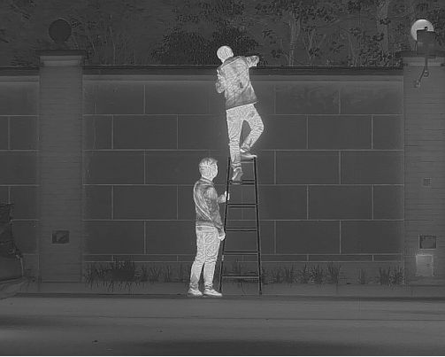 红外热成像模组在智能家居领域的应用(图1)