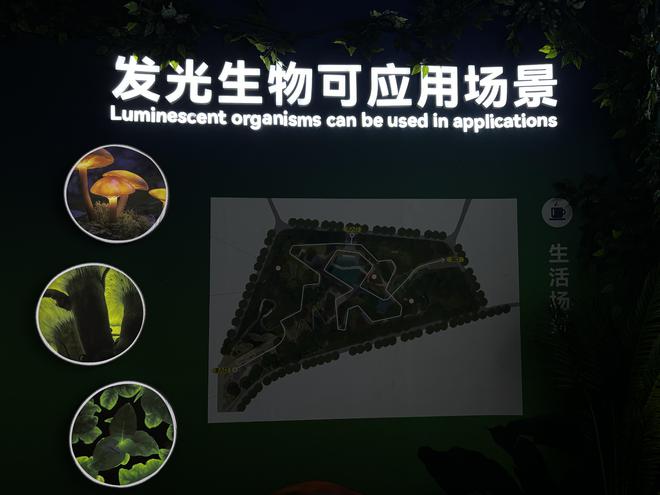 树木当路灯、草坪会照明发光植物或将走进现实(图2)