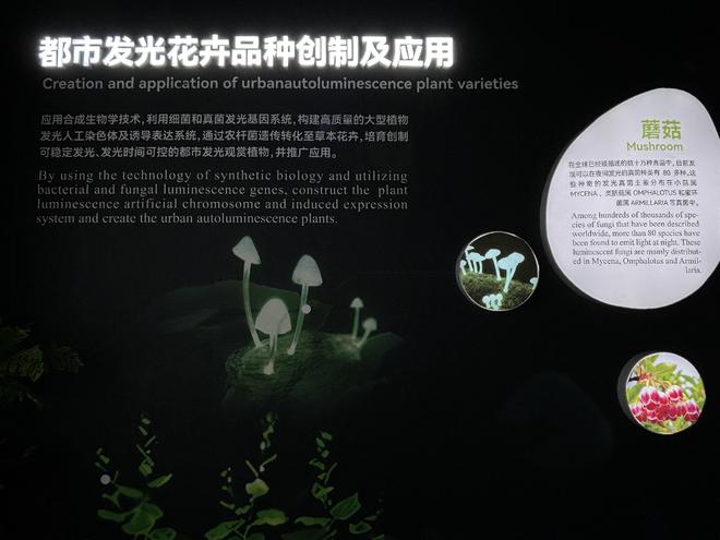 树木当路灯、草坪会照明发光植物或将走进现实(图3)