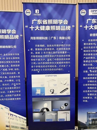 月影照明荣膺‘十大健康照明品牌奖引领行业高质量发展(图2)