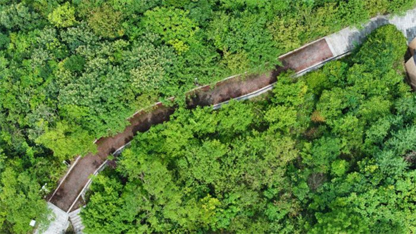 安全升级绿色加倍观山湖区这个公园重新开放了！(图2)