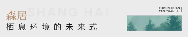 中环桃源里网站-2024最新房价中环桃源里最新详情(图3)