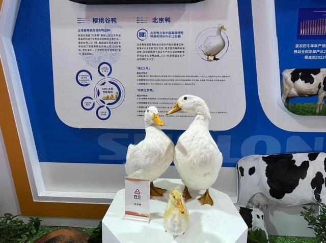 北京科博会上的农业智慧窥见未来农业新模式(图4)