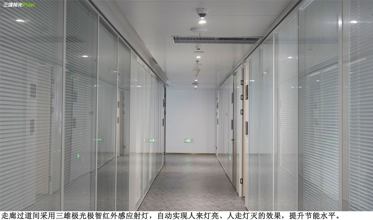 三雄极光智能照明为大华股份可持续发展之路添“绿色引擎”(图2)
