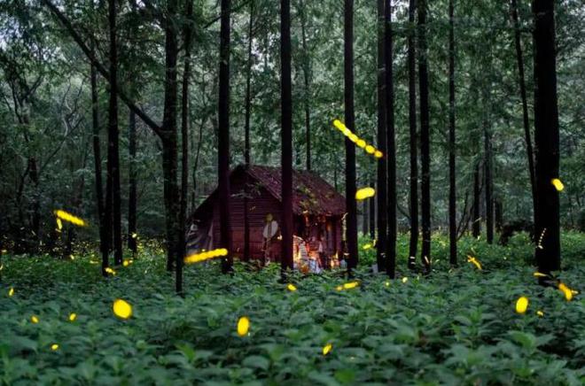 西工大研发新武器！“萤火虫”无人机让老美焦虑或改写现代战争(图2)