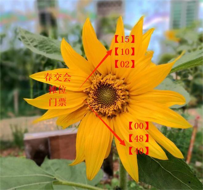 助力企业价值倍增——2025年6月光亚照明展启动申请(图3)