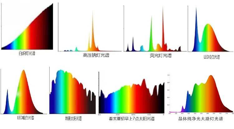 相见恨晚!今年的近视防控这笔钱算是花在了刀刃上(图11)