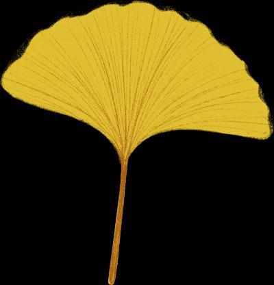 把前沿科技和实用解决方案送到你眼前!上海这个38万㎡的大展太酷啦!(图17)