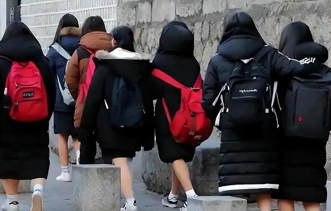 日本人冬天不装暖气最低气温达到零下他们是如何扛过去的呢?(图4)