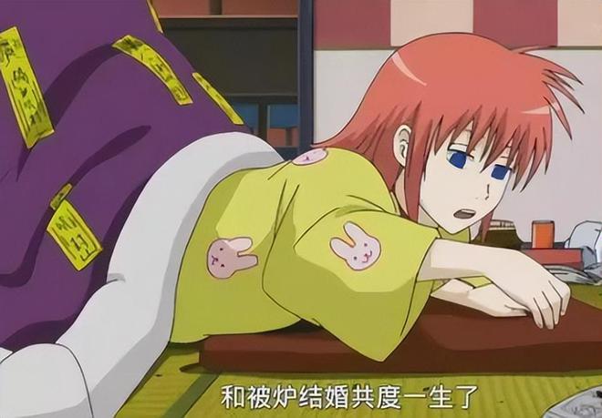 日本人冬天不装暖气最低气温达到零下他们是如何扛过去的呢?(图9)