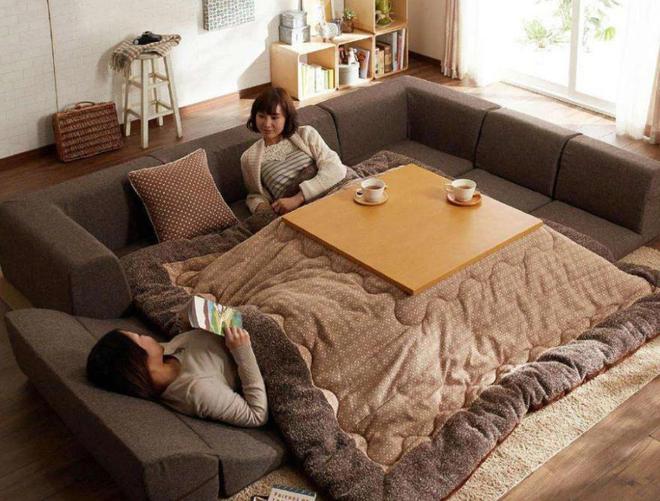 日本人冬天不装暖气最低气温达到零下他们是如何扛过去的呢?(图8)