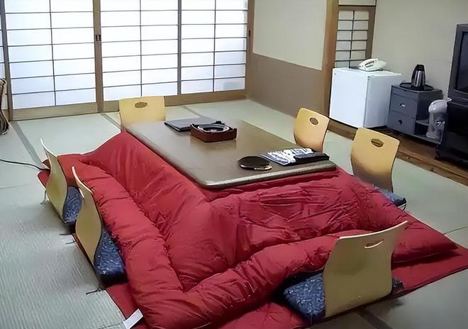 日本人冬天不装暖气最低气温达到零下他们是如何扛过去的呢?(图10)