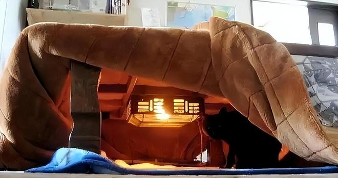 日本人冬天不装暖气最低气温达到零下他们是如何扛过去的呢?(图11)