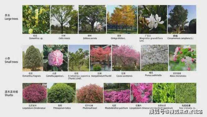 古北悦公馆发布2024古北悦公馆最新价格户型-容积率-小区环境(图13)