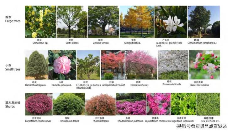 东苑古北悦公馆(上海)首页网站-2024楼盘评测_古北悦公馆最新价格配套户型丨最新房价+户型图+小区环境+配套+资讯+地铁距离+售楼处电话+一房一价(图13)