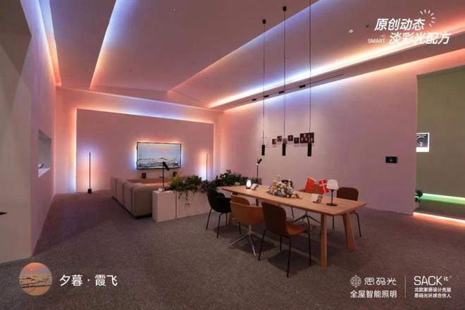中国VS欧洲智能照明谁将领跑？思码光郜盛夏对话荷兰CALEX总裁WillSmits(图4)