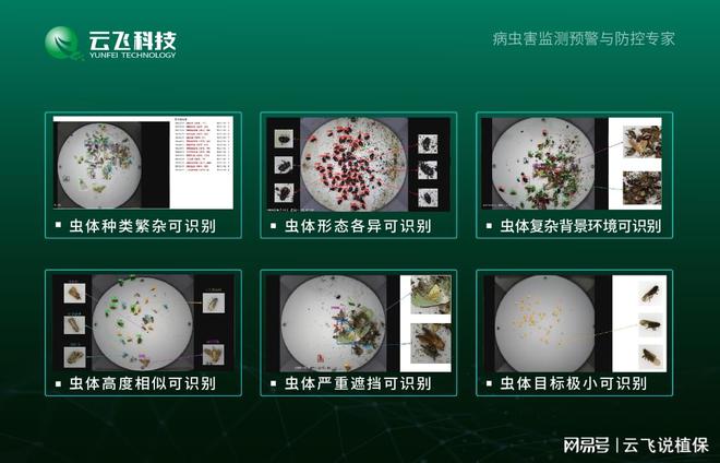 太阳能自动虫情测报灯在林业虫害监测中的应用价值(图3)
