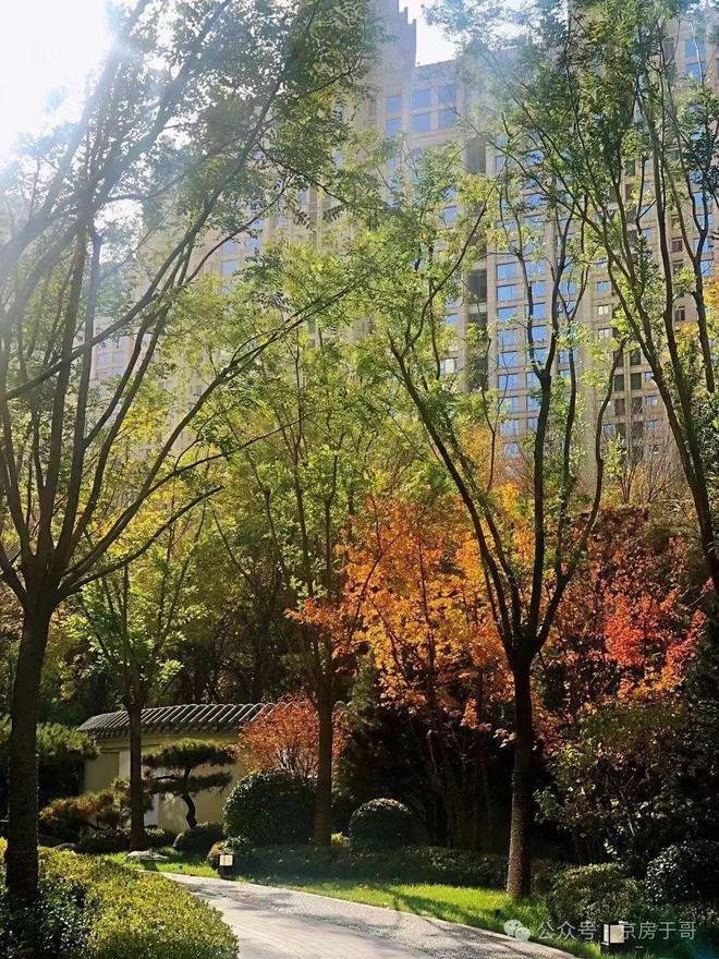 缦合北京价格【缦合北京售楼处欢迎您】-(图12)