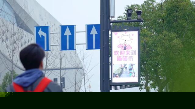 未来已来！南京在全国率先上岗“智慧路灯机器人”(图3)