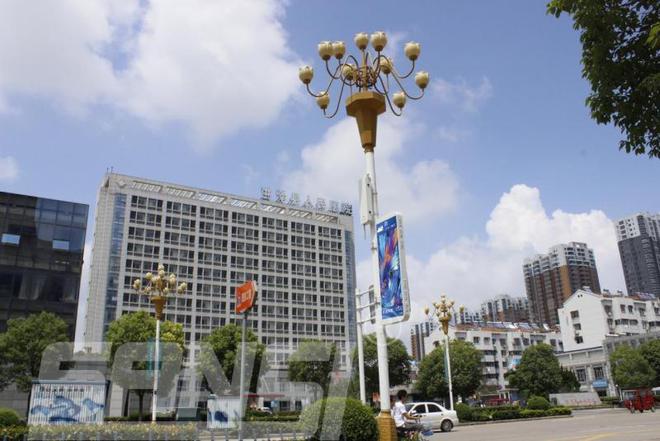 智慧路灯系统：科技赋能城市生态与生活品质双提升(图1)