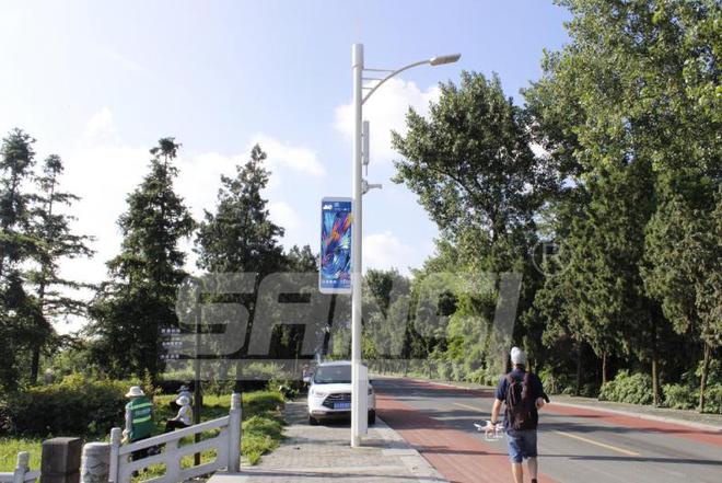 智慧路灯系统：科技赋能城市生态与生活品质双提升(图2)