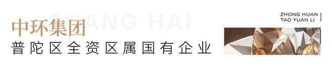 中环桃源里(营销中心)首页网站-中环桃源里销售中心(售楼处)-楼盘欢迎您-地址-价格-户型-小区环境-楼盘详情-交房时间-周边配套-售楼处电话(图6)