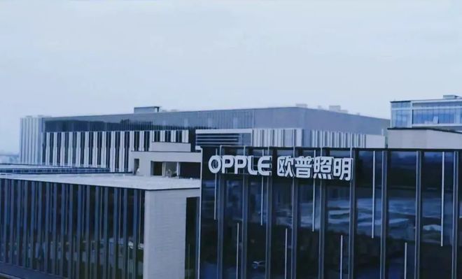 一季度业绩PK！公牛3922亿元第二！木林森3886亿元第三！第一是它？！(图8)