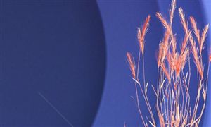 智慧照明行业市场分析智慧照明行业市场发展趋势分析(图5)