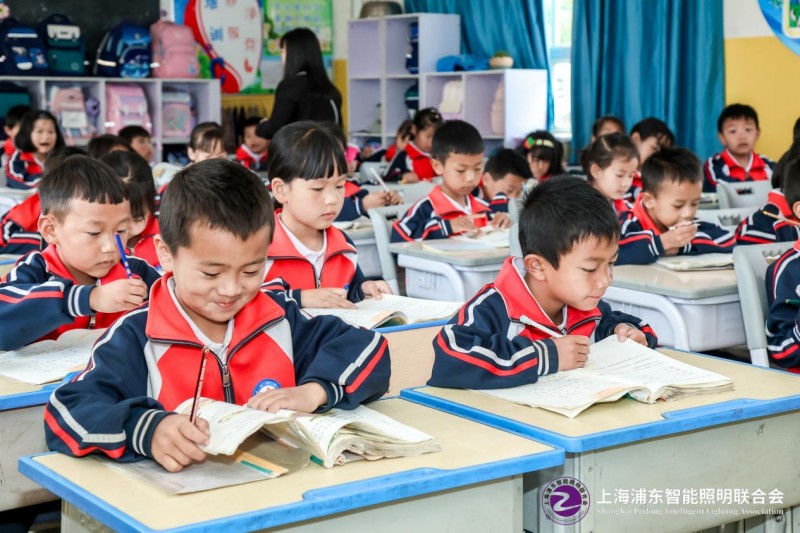上海浦东智能照明联合会“光明助学行”照亮巍宝山乡建设小学助力孩子健康成长(图13)