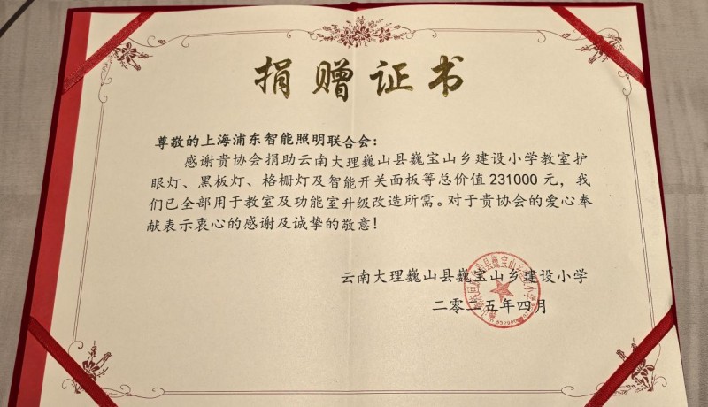上海浦东智能照明联合会“光明助学行”照亮巍宝山乡建设小学助力孩子健康成长(图14)