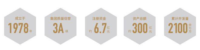 中环桃源里(中环桃源里售楼处)首页网站-2025楼盘测评-售楼处欢迎您-楼盘评测_欢迎您最新价格配套户型(图3)