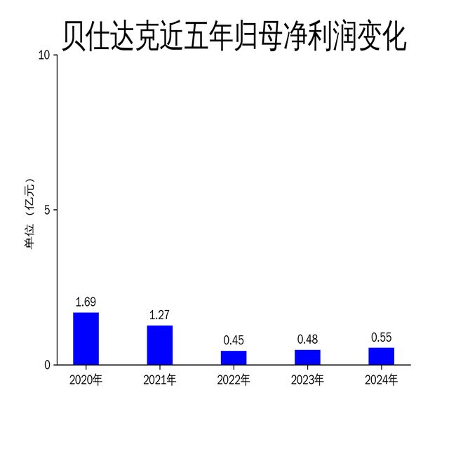 贝仕达克2024年财报：营收微降净利润逆势增长(图2)
