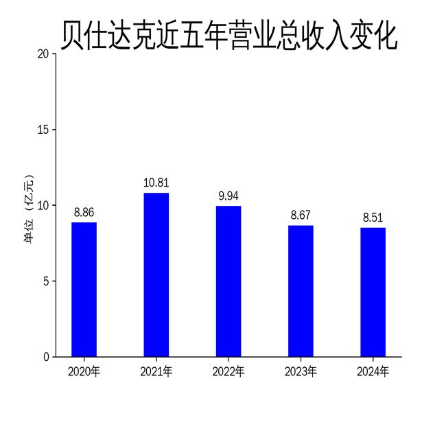 贝仕达克2024年财报：营收微降净利润逆势增长(图1)