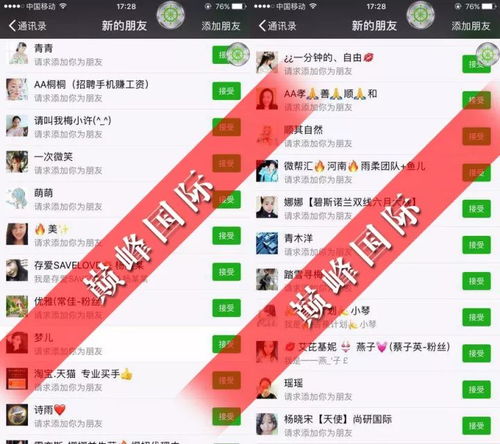 什么网创项目赚钱多一点(图1)