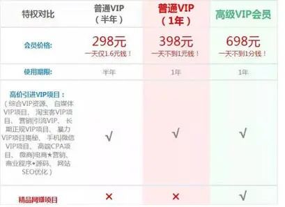 虚拟项目赚钱术语叫什么(图1)