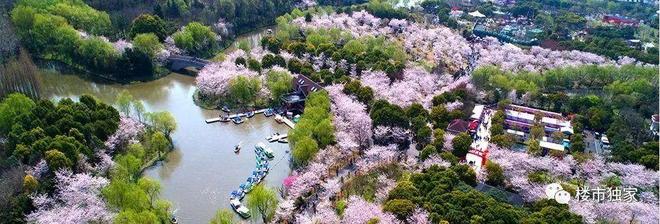 约400+万起上车！【中建山水雅境】100-143㎡3-4房正在火爆热销中(图23)