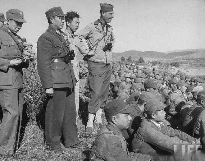 不到一周违建英之园披上绿网从雄伟建筑到空留叹息(图4)