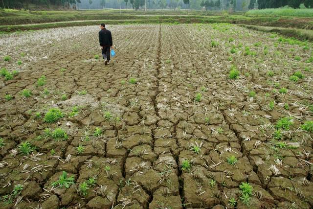 31号端午今年端午不一般60年一遇“3大特点”早了解(图8)