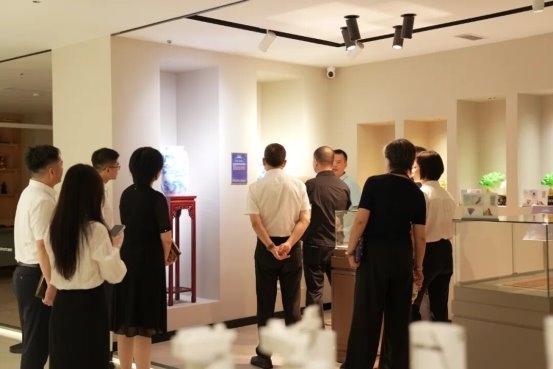 成都武侯区领导及四川照明电器协会一行莅临智谋纪AI照明共探合作发展新机遇(图3)