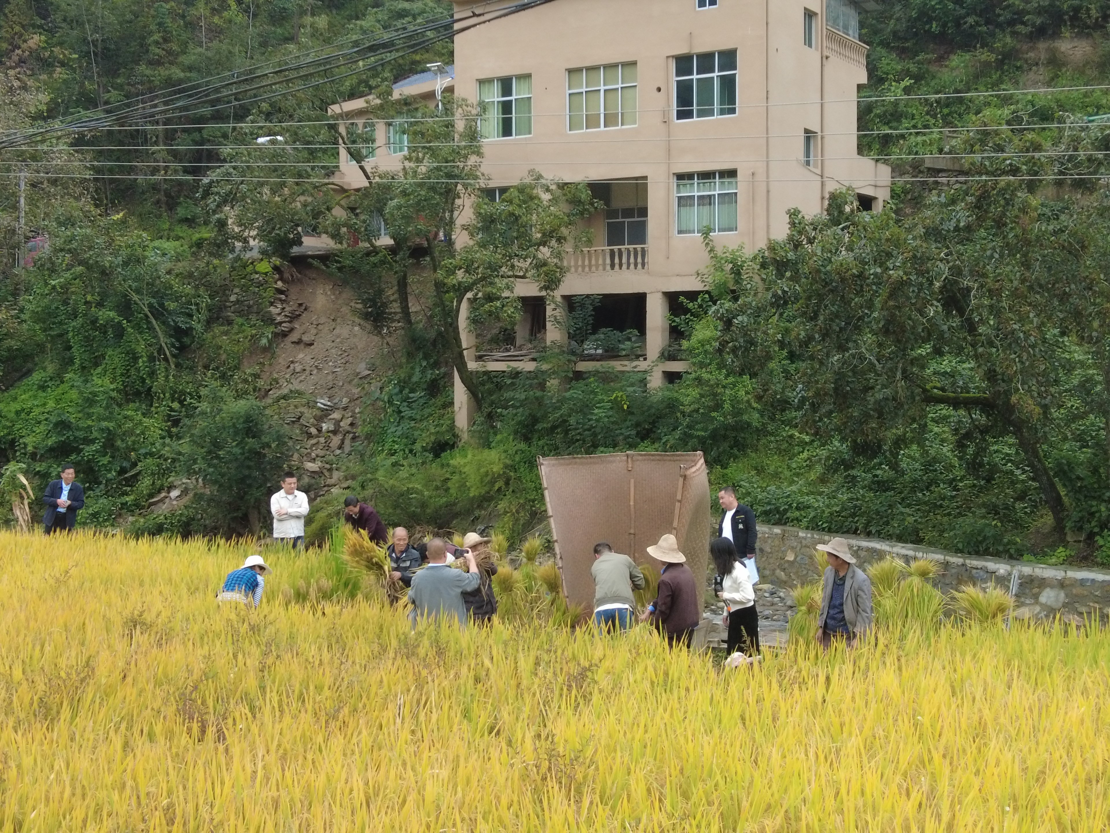 是什么让传统村落的“颜值”转化为发展的“产值”?(图2)