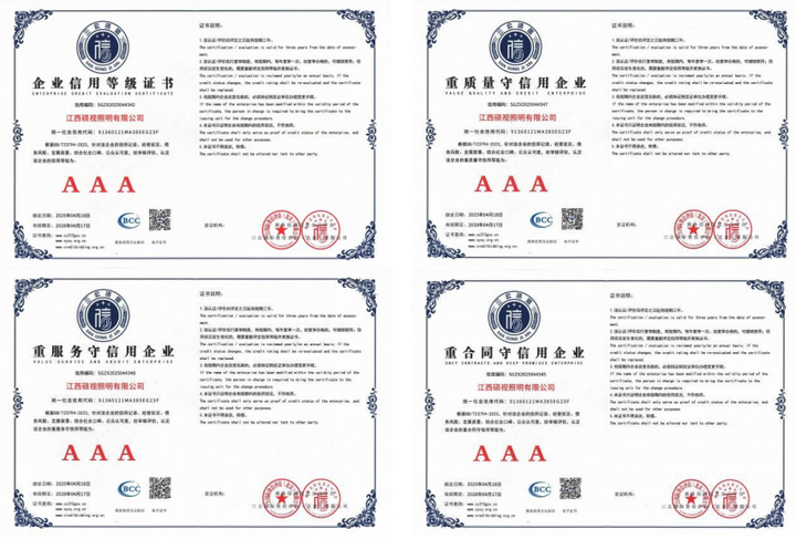 江西硕视照明荣获省级“专精特新中小企业”创新实力获权威认可(图6)