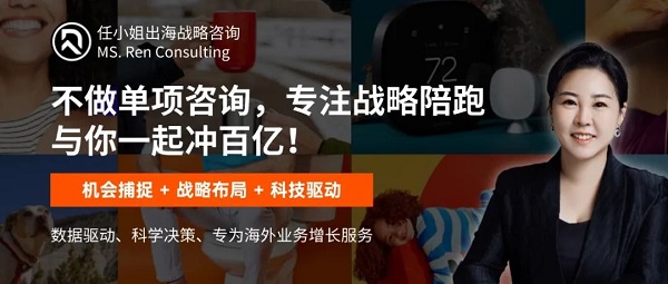 任小姐出海战略咨询从低价竞争到350%利润：跨境卖家如何在智能家居千亿市场抢占高利润空间(图4)