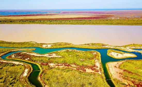 山东省属企业把温度融入企业高质量发展的速度(图1)