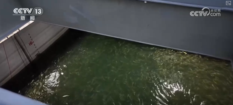 秋满神州“丰”景万里多视角解锁“海上粮仓”丰收新场景、新变化(图2)