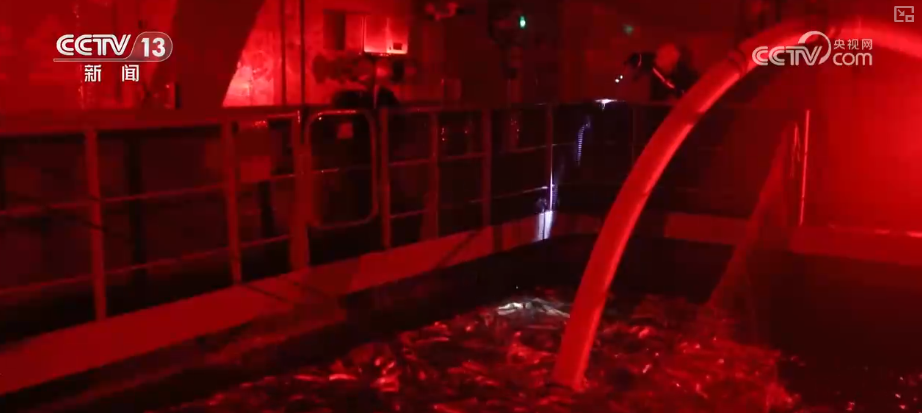 秋满神州“丰”景万里多视角解锁“海上粮仓”丰收新场景、新变化(图5)