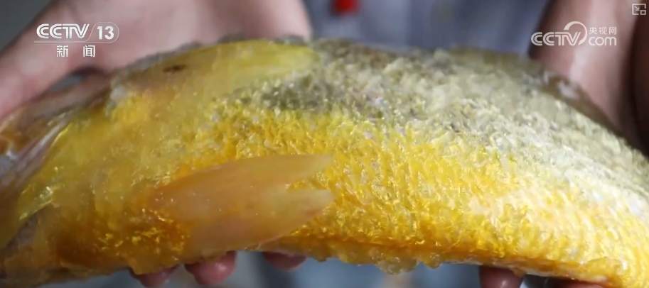 秋满神州“丰”景万里多视角解锁“海上粮仓”丰收新场景、新变化(图3)