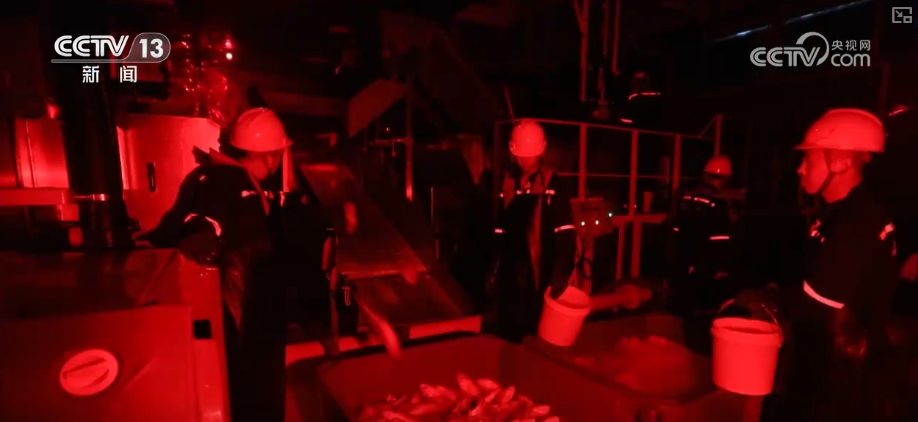 秋满神州“丰”景万里多视角解锁“海上粮仓”丰收新场景、新变化(图6)